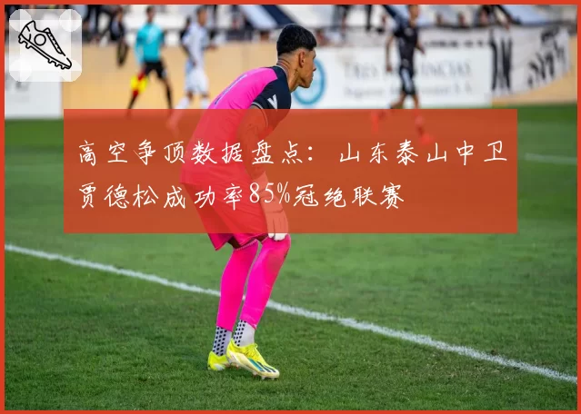高空争顶数据盘点：山东泰山中卫贾德松成功率85%冠绝联赛