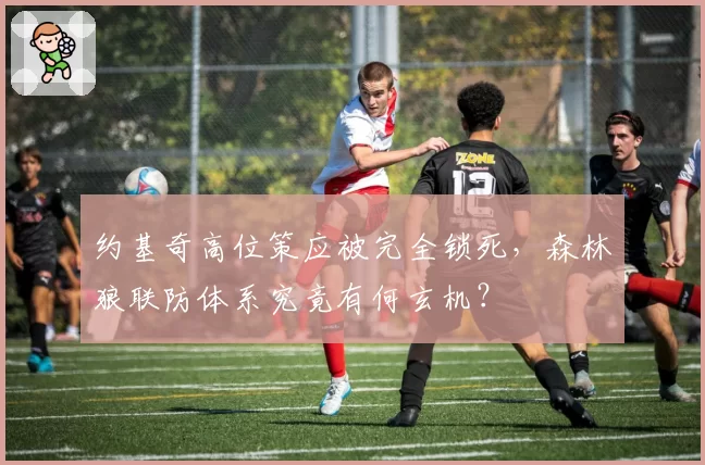 约基奇高位策应被完全锁死，森林狼联防体系究竟有何玄机？