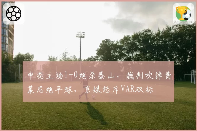 申花主场1-0绝杀泰山,裁判吹掉费莱尼绝平球,京媒怒斥VAR双标
