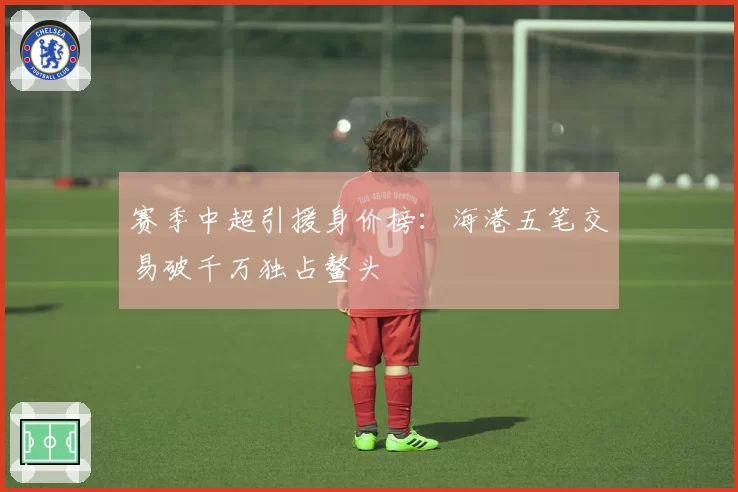 赛季中超引援身价榜：海港五笔交易破千万独占鳌头
