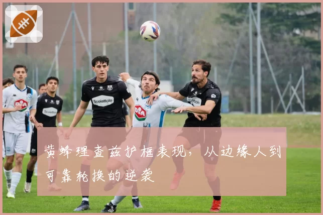 黄蜂理查兹护框表现，从边缘人到可靠轮换的逆袭