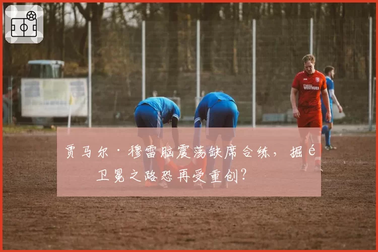 贾马尔·穆雷脑震荡缺席合练，掘金卫冕之路恐再受重创？