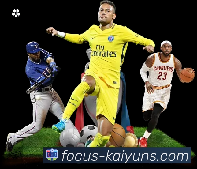 开云登录服务价值